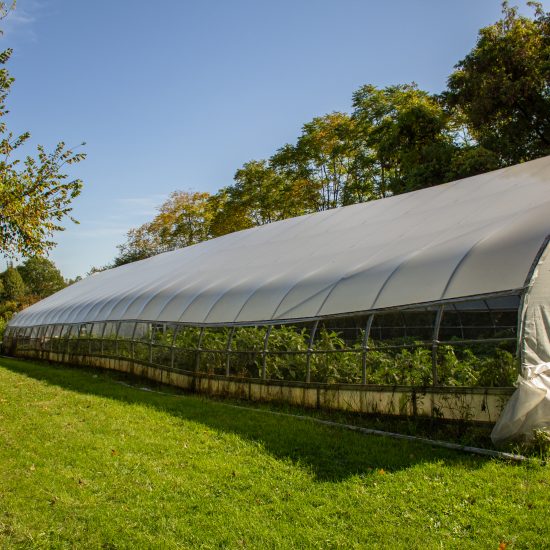 A GREENHOUSE IN ROUGE PARK ON DETROIT'S WEST SIDE. PHOTO JOHN BOZICK
