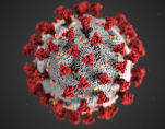 coronavirus AN ILLUSTRATION OF COVID-19, CREATED AT THE CENTERS FOR DISEASE CONTROL AND PREVENTION (CDC)