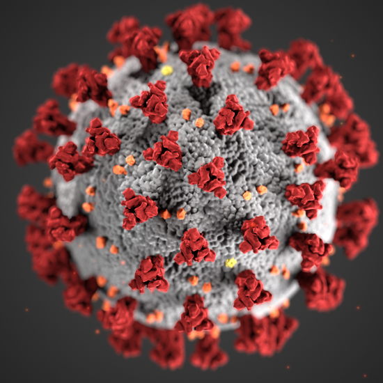 coronavirus AN ILLUSTRATION OF COVID-19, CREATED AT THE CENTERS FOR DISEASE CONTROL AND PREVENTION (CDC)