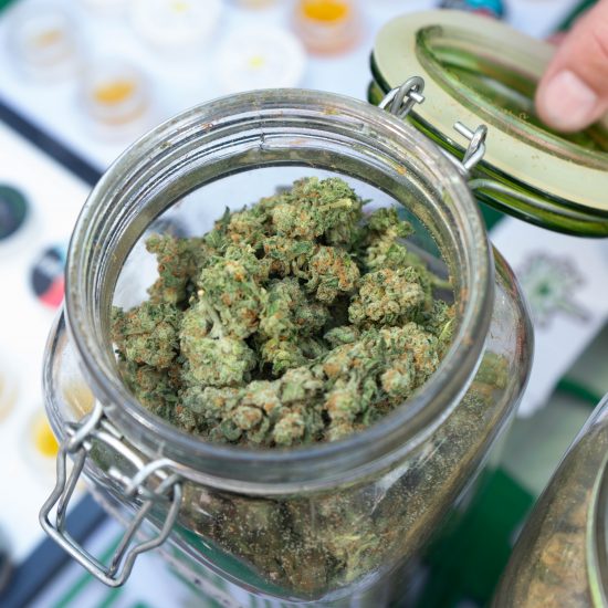 MARIJUANA. PHOTO AMI NICOLE / ACRONYM