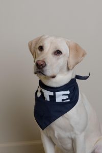 NORA'S OFFICIAL DTE HEADSHOT. PHOTO DTE