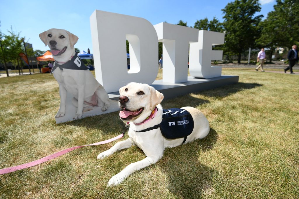 NORA THE DTE DOG. PHOTO PROVIDED BY DTE
