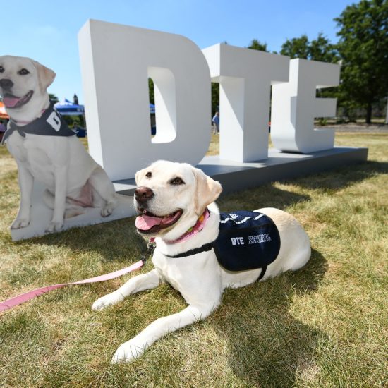NORA THE DTE DOG. PHOTO PROVIDED BY DTE