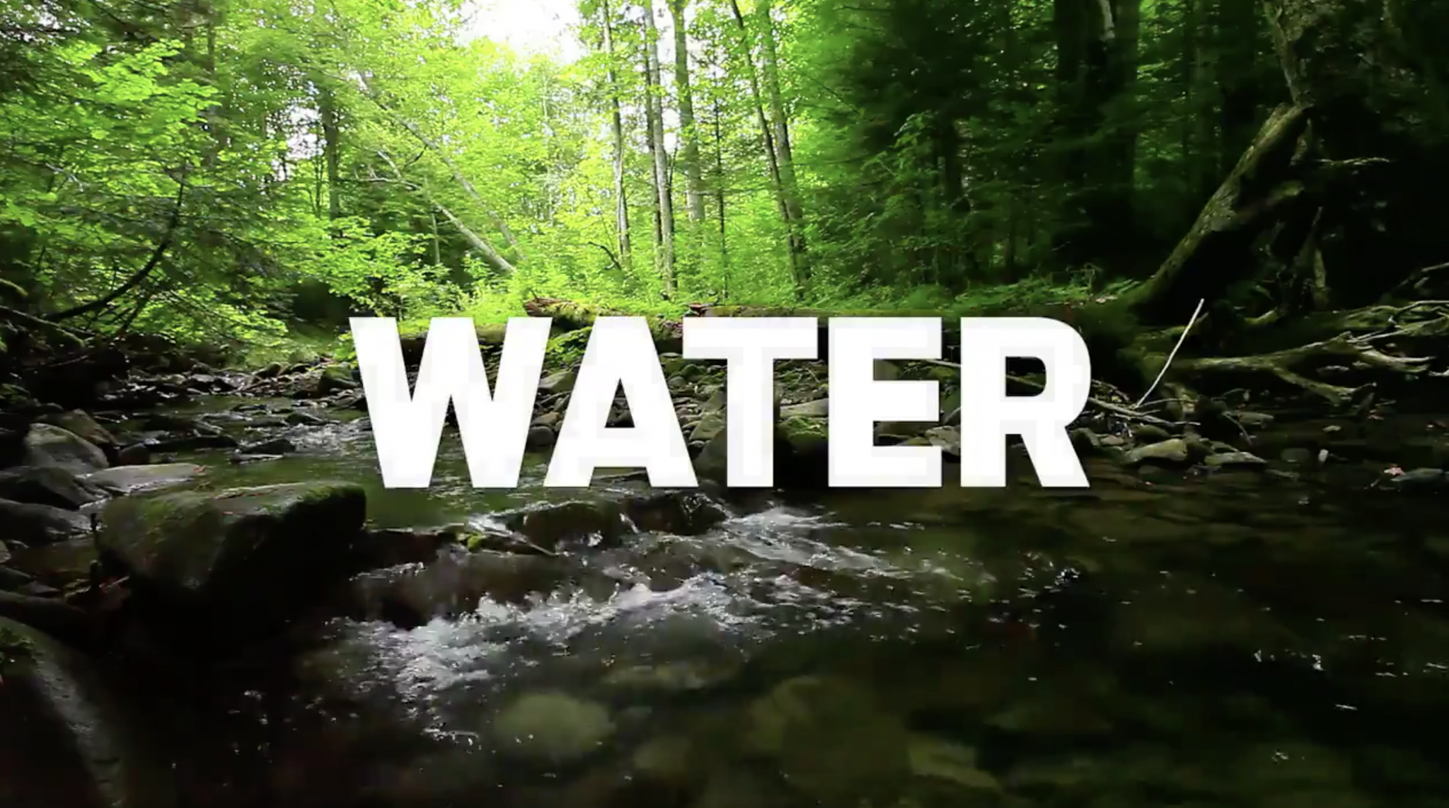 SCREENSHOT FORD VIDEO