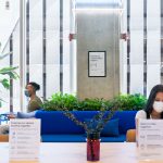 workplace // wework