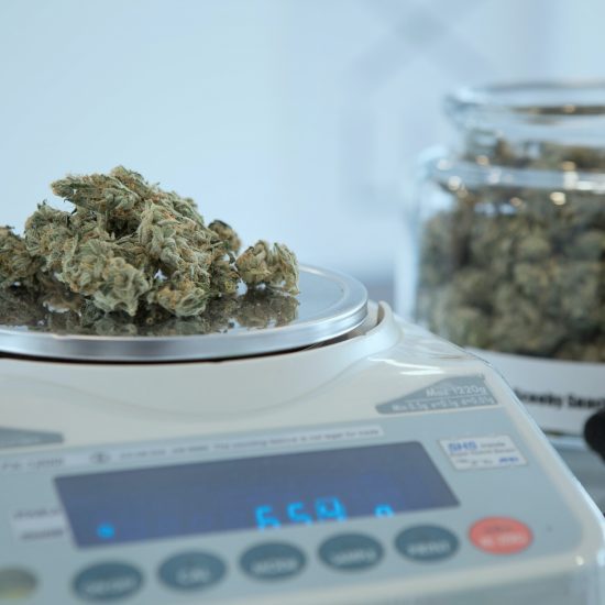 marijuana // PHOTO BY ADD WEED ON UNSPLASH