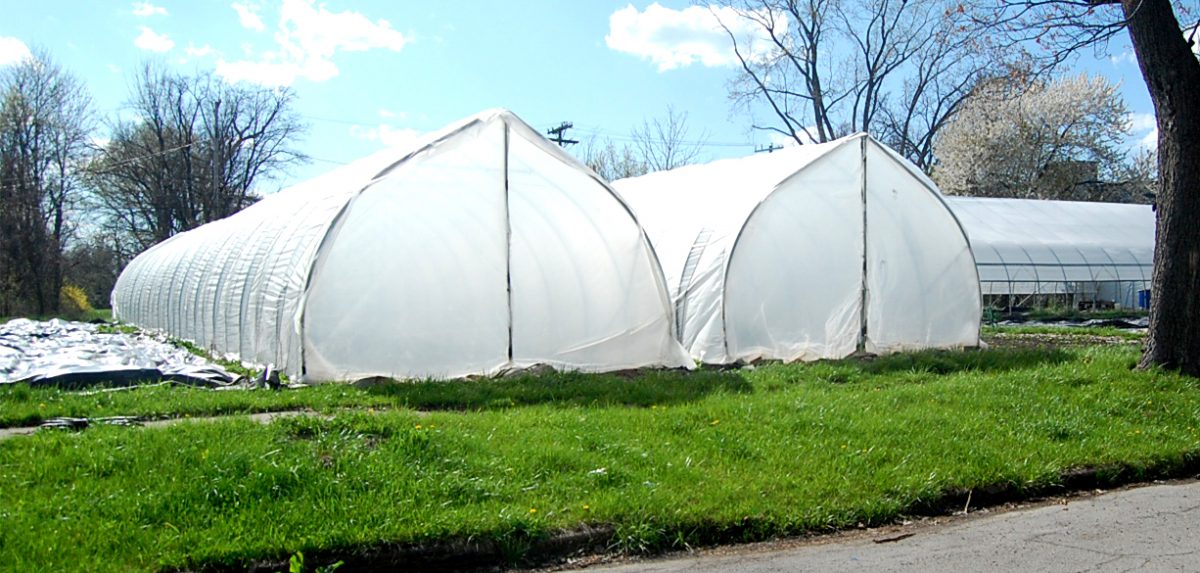 farming HOOP HOUSES AT ANDY CHAE'S FISHEYE FARMS IN CORE CITY.