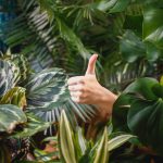 thumbs up with plants