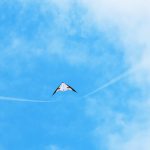 kite flying in blue sky