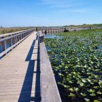 Point Pelee National Park of Canada