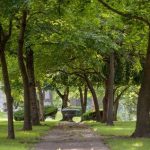Historic Elmwood Cemetery: One of Detroit's Best Parks