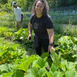  planting pollinator areas at D-Town Farm in Detroit 