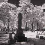 elmwood cemetery in detroit