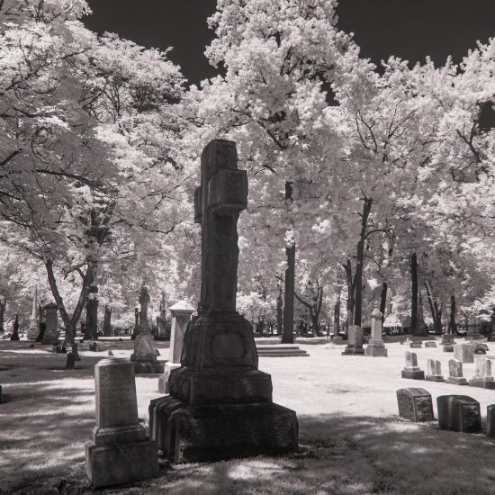 ELMWOOD CEMETERY, PHOTO KELCIE HERALD / UNSPLASH