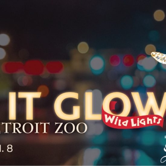 let it glow wild lights detroit zoo