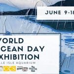 world ocean day 2023 exhibition detroit river coalition