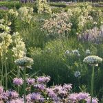 PHOTO @OUDOLFGARDEN ON INSTAGRAM