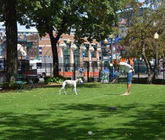 PHOTO FRIENDS OF THE GRAND CIRCUS DOG PARK / FACEBOOK