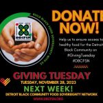 Donate to DBCFSN for #GivingTuesday