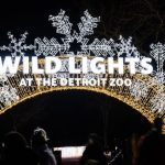WILD LIGHTS AT THE DETROIT ZOO PHOTO DETROIT ZOOLOGICAL SOCIETY