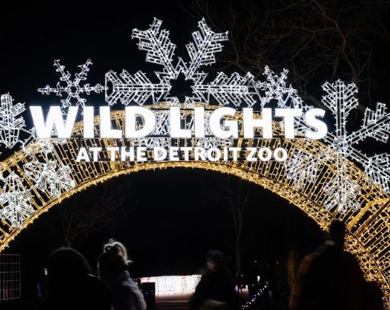 WILD LIGHTS AT THE DETROIT ZOO PHOTO DETROIT ZOOLOGICAL SOCIETY