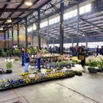 FLOWER DAY IS HERE, PHOTO @EASTERNMARKET ON INSTAGRAM