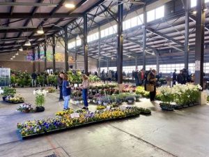 FLOWER DAY IS HERE, PHOTO @EASTERNMARKET ON INSTAGRAM
