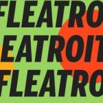 Fleatroit Junk City LLC.