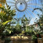 Anna Scripps Conservatory