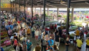 GET READY FOR FLOWER DAY, PHOTO @EASTERNMARKET ON INSTAGRAM