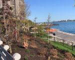 RALPH C. WILSON CENTENNIAL PARK