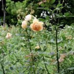 Screenshot 2025 10 31 at 7.50.34 AM