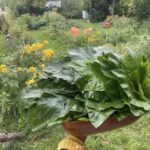 Screenshot 2025 10 31 at 7.54.38 AM