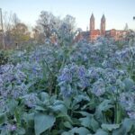 Screenshot 2025 10 31 at 7.55.14 AM