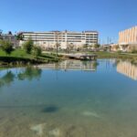 Ralph C. Wilson Jr. Water Garden