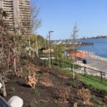 Screenshot 2025 12 11 at 8.51.27 AM