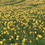 Screenshot 2026 04 27 at 8.31.26 AM