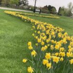 Screenshot 2026 04 27 at 8.35.10 AM