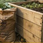 The Detroit Compost Program-City of Detroit government