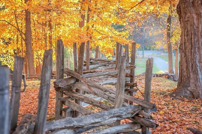 ADDISON OAKS PARK. PHOTO TOM HUGHES
