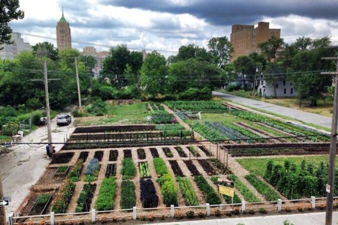 NORTH END URBAN FARM,PHOTO CURBED DETROIT / PINTEREST