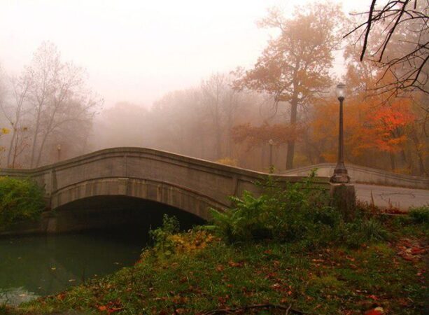 belle isle park in the fall