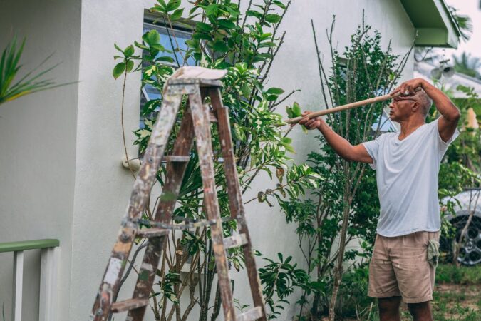 HOME IMPROVEMENT