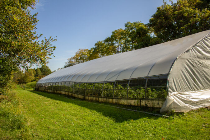 A GREENHOUSE IN ROUGE PARK ON DETROIT'S WEST SIDE. PHOTO JOHN BOZICK