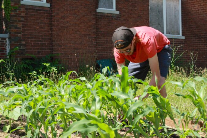 PANDEMIC LOCAL DETROITER, LUCAS RESETAR, WATERING HIS GARDEN