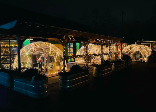 OUTDOOR IGLOOS