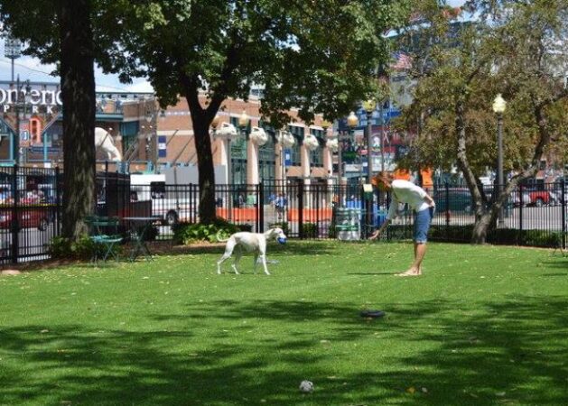 PHOTO FRIENDS OF THE GRAND CIRCUS DOG PARK / FACEBOOK