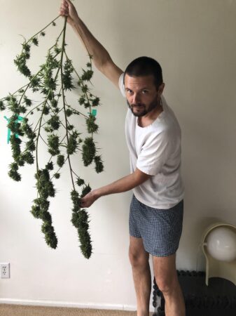 riding high