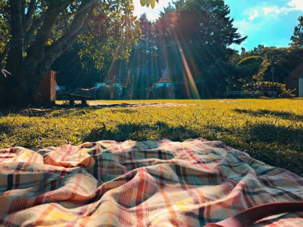 PHOTO JENNIE CLAVEL / UNSPLASH