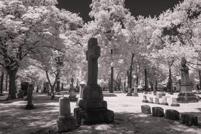 ELMWOOD CEMETERY, PHOTO KELCIE HERALD / UNSPLASH